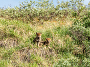 Noatak National Preserve