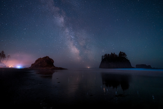 Olympic National Park 