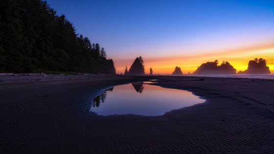 Olympic National Park 