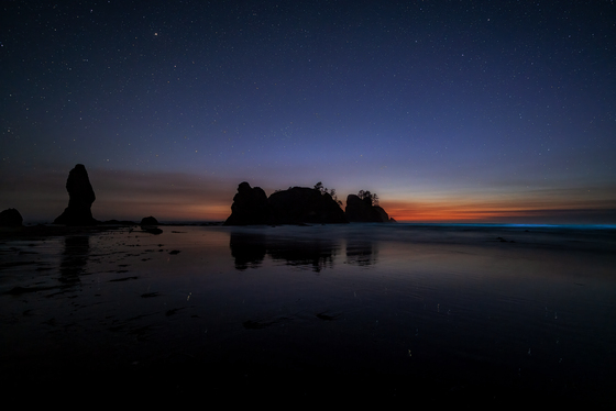 Olympic National Park 