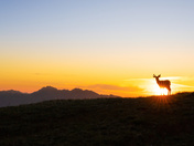 Olympic National Park 