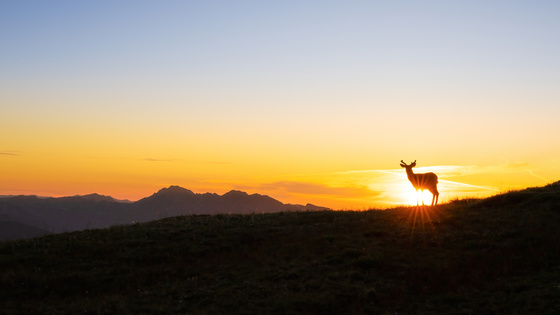 Olympic National Park 