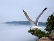 Acadia National Park