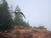 Acadia National Park