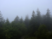 Acadia National Park