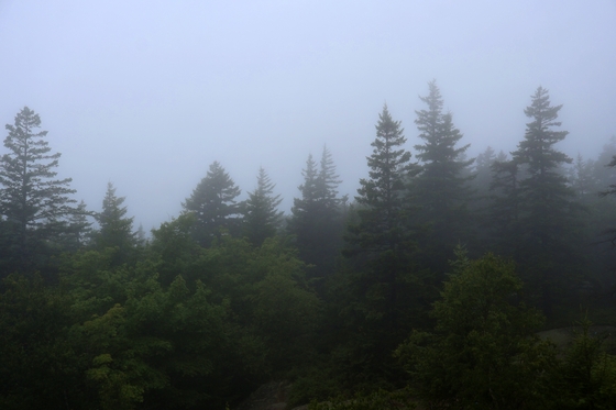 Acadia National Park