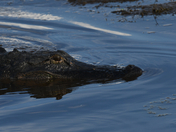 St Marks National Wildlife Refuge