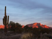 Kofa National Wildlife Refuge