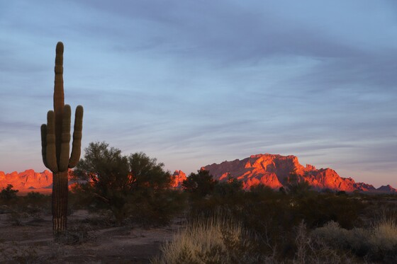 Kofa National Wildlife Refuge