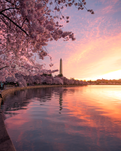 National Mall and Memorial Parks