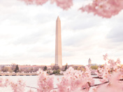 National Mall and Memorial Parks