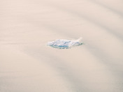 Glacier Bay National Park