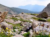 Rocky Mountain National Park 