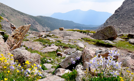 Rocky Mountain National Park 