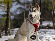 New River Gorge National Park & Preserve