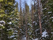 Rocky Mountain National Park