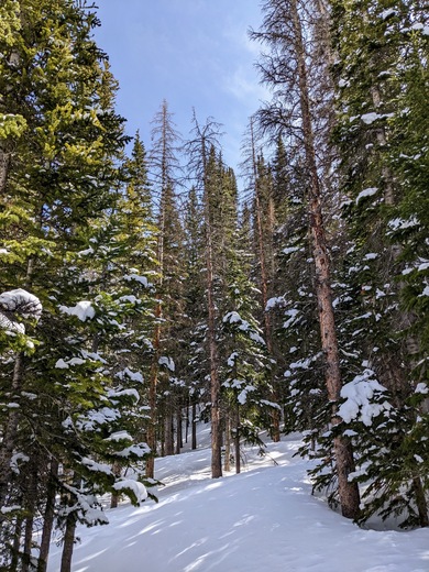Rocky Mountain National Park