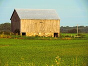 Familiar Old Barn
