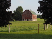 Red Maples, Red Barn