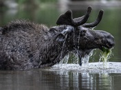 Grand Teton National Park