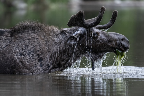 Grand Teton National Park