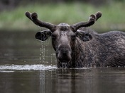 Grand Teton National Park
