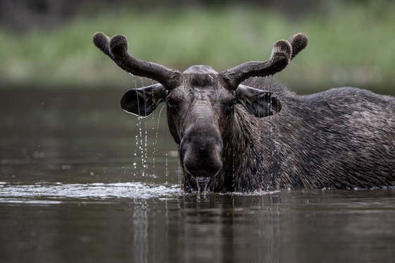 Grand Teton National Park