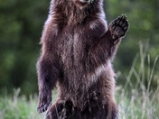 Grand Teton National Park