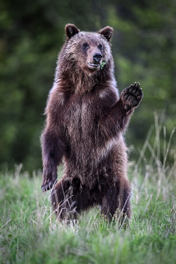 Grand Teton National Park