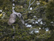 Grand Teton National Park