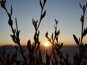 Lake Tahoe State Park