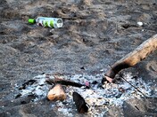 Beach Party Detritus