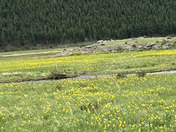 Rocky Mountain National Park