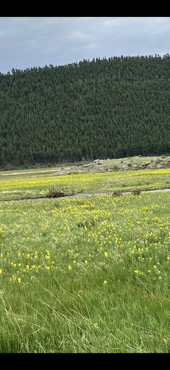 Rocky Mountain National Park