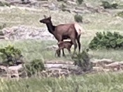 Rocky Mountain National Park