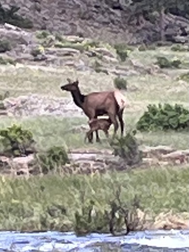Rocky Mountain National Park
