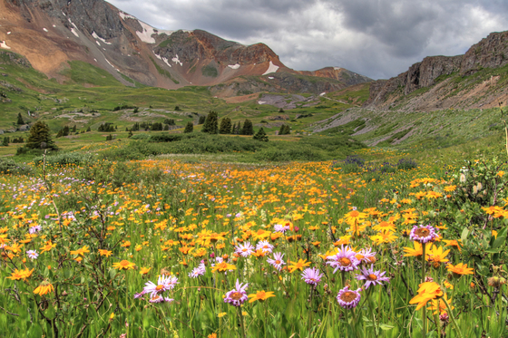 San Juan National Forest