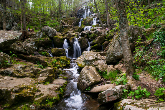 Shenandoah National Park