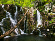 Shenandoah National Park