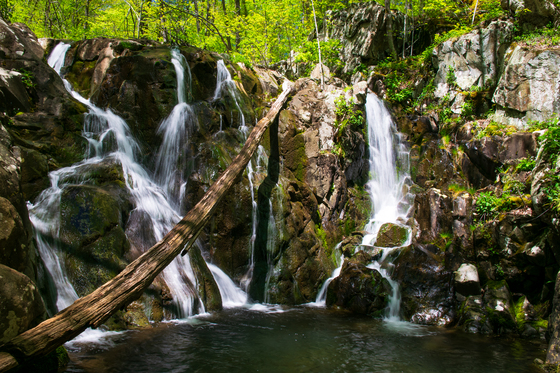 Shenandoah National Park