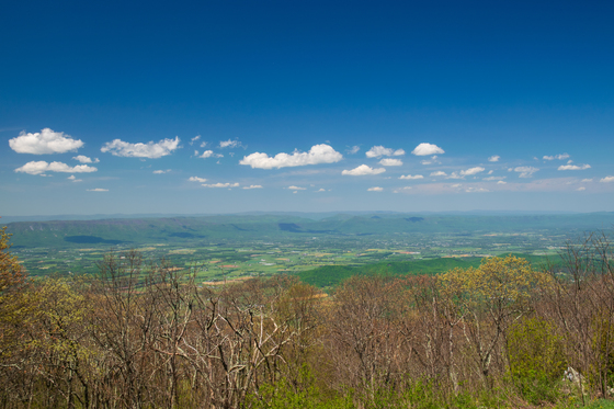 Shenandoah National Park