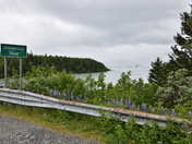 Tongass National Forest