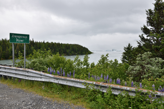 Tongass National Forest