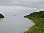 Tongass National Forest