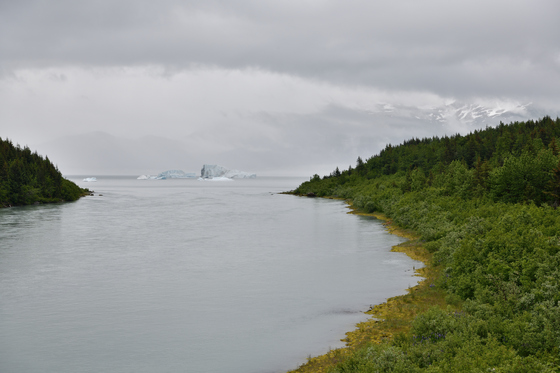 Tongass National Forest