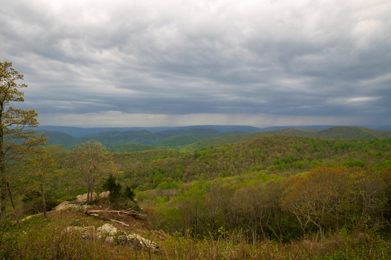 Shenandoah National Park