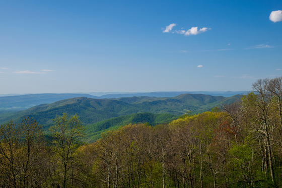 Shenandoah