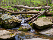Shenandoah National Park