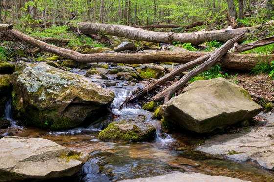 Shenandoah National Park