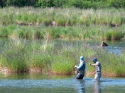 Katmai National Park and Preserve